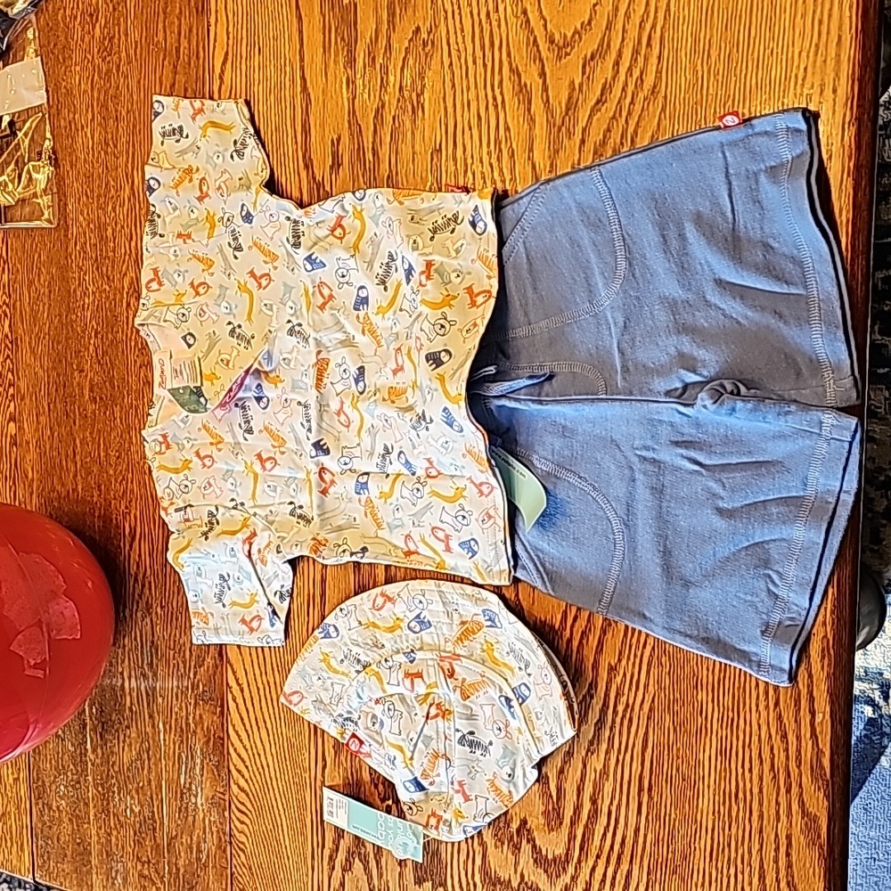 NWT Zutano Dog Walk short sleeve tee and terry short set with hat, all sized 24m